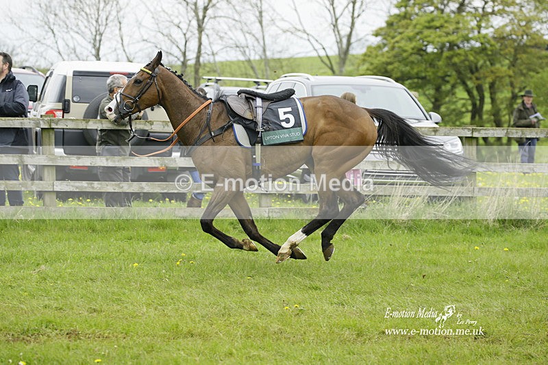 PtP 020522 158 - Mollington Races Point-to-Point 02/05/22