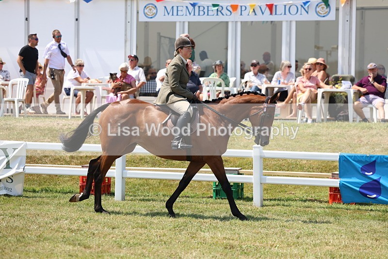 3E7A9313 - Class 12: Open Racehorse to Show Horse