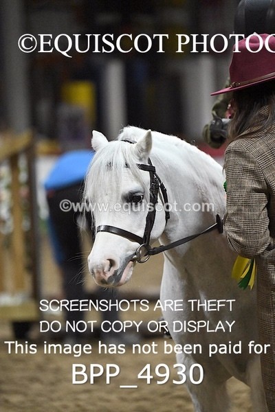 BPP_4930 - CLASS 2 30CM