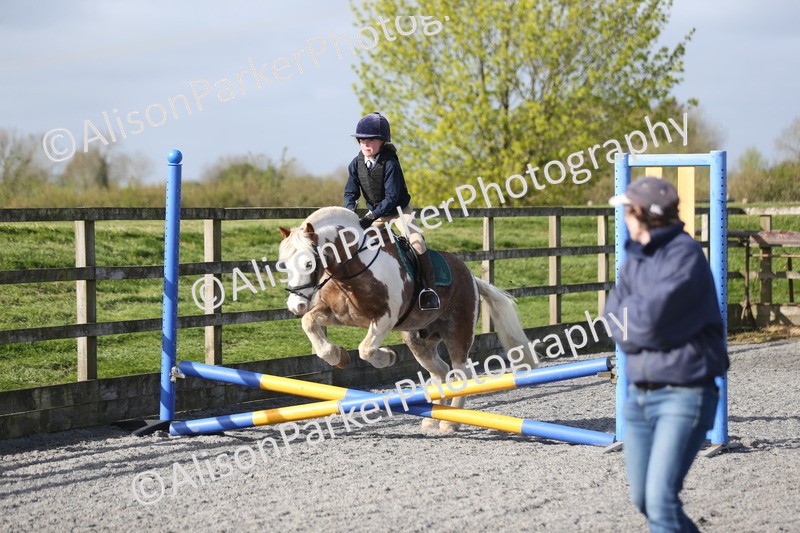 20260412-0057 - Show Jumping