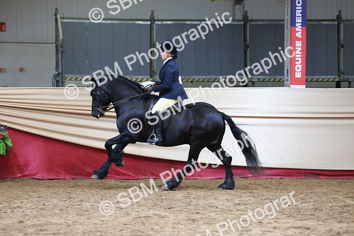 SBM_18749 - Class 952 - M&M Ridden Supreme Final