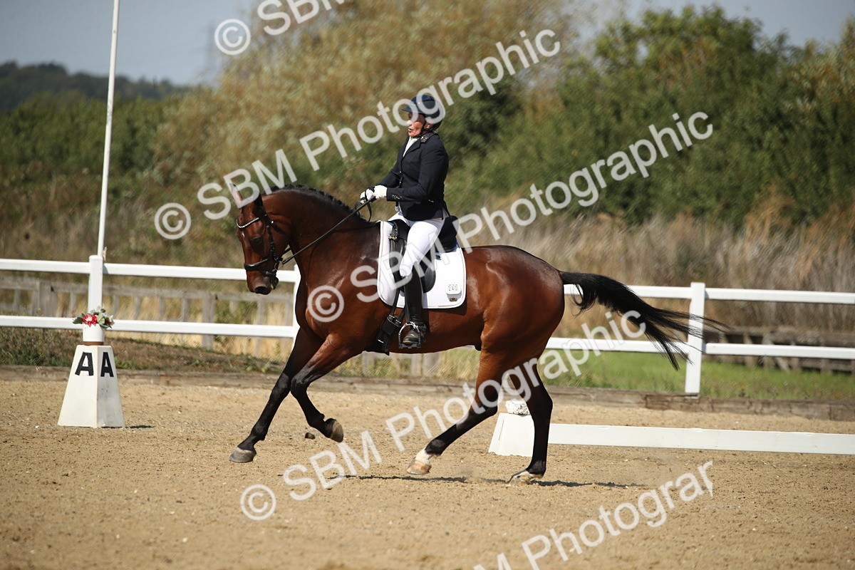 SBM_005004 - Class 11 - Novice 5 - 11.41-12.58