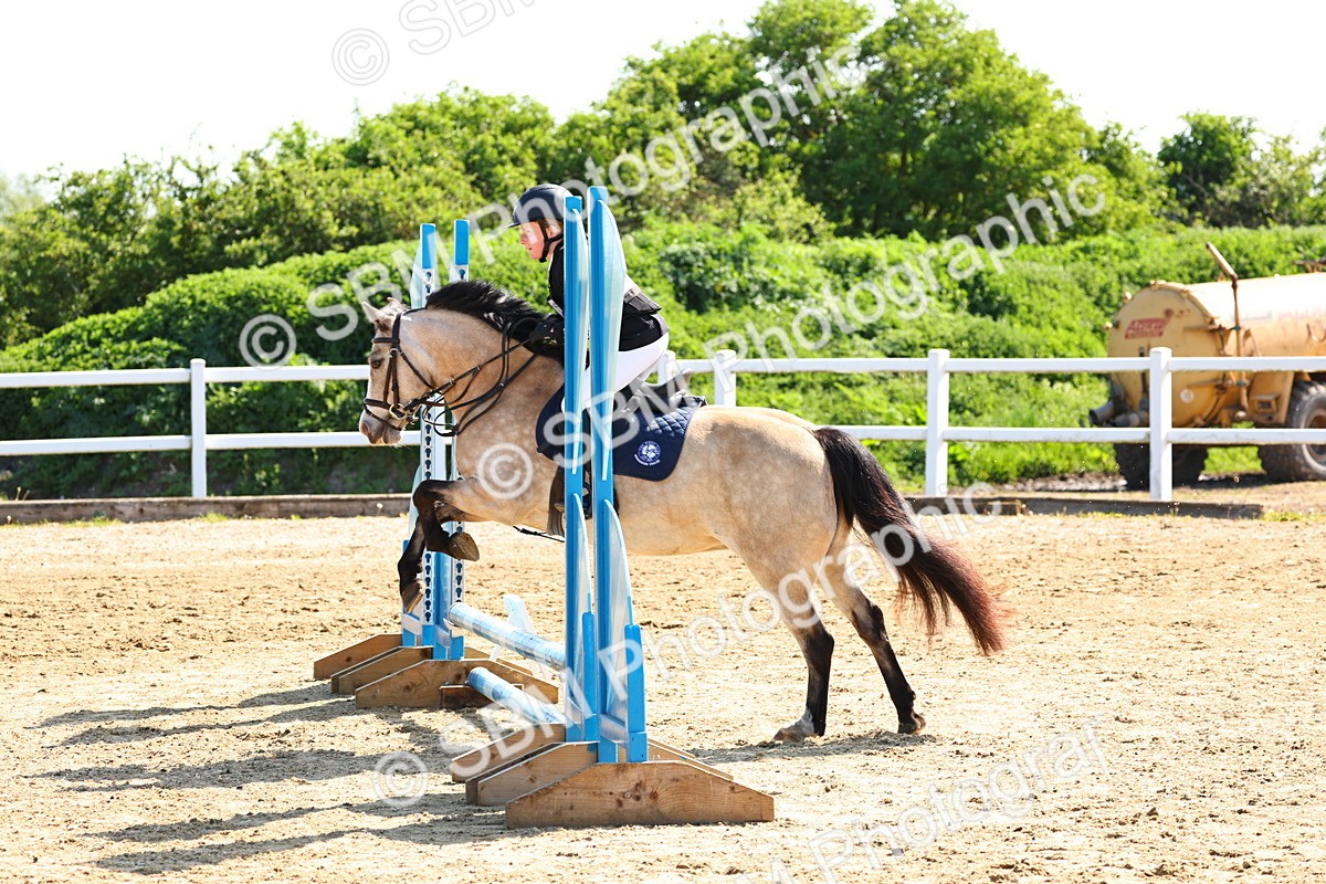 SBM_006743 - Class 2 - 50cm