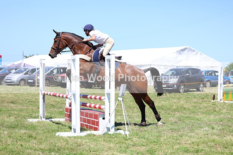 3E7A5493 - Class 9: Senior British Novice/90cm open
