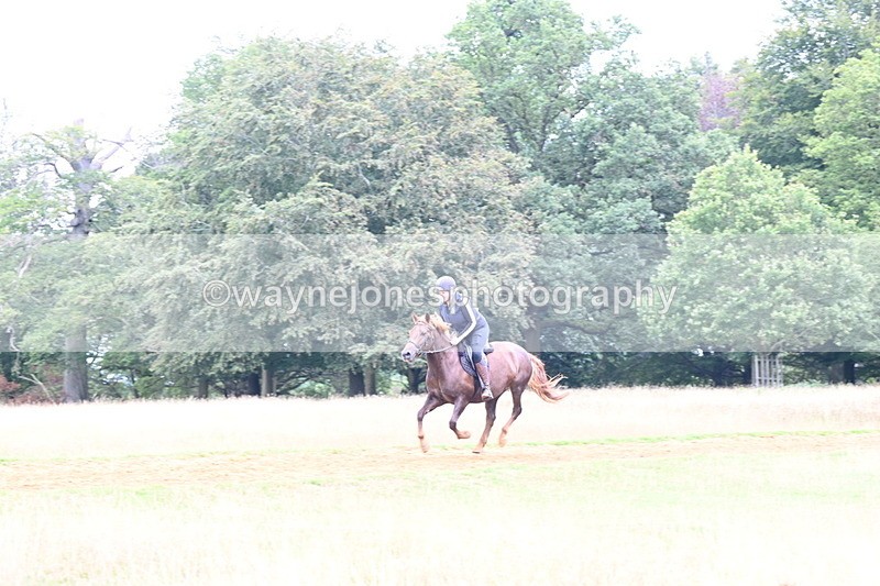 DSC_9765 - Time at Statue 15:11 to 15:58