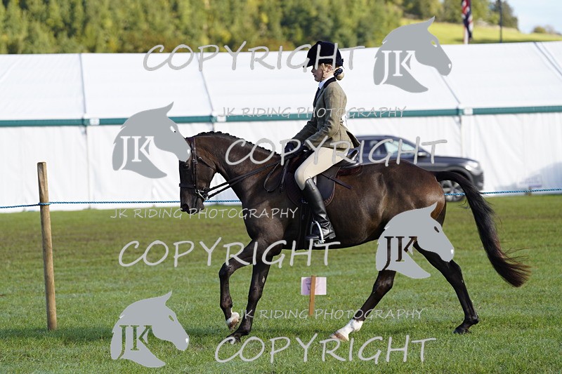_DSC9373 - Class 8 & 17 Ridden Hunter & Ridden Hunter Pony