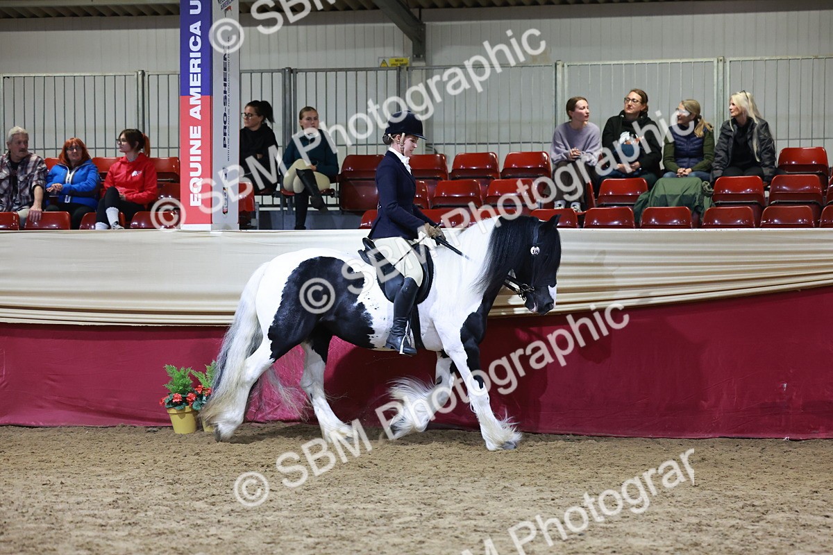 SBM_21272 - Class S - Style & Performance Champ