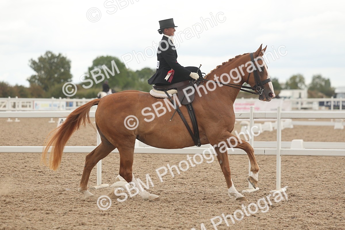 SBM_06306 - Class 23 - SSA - Classical