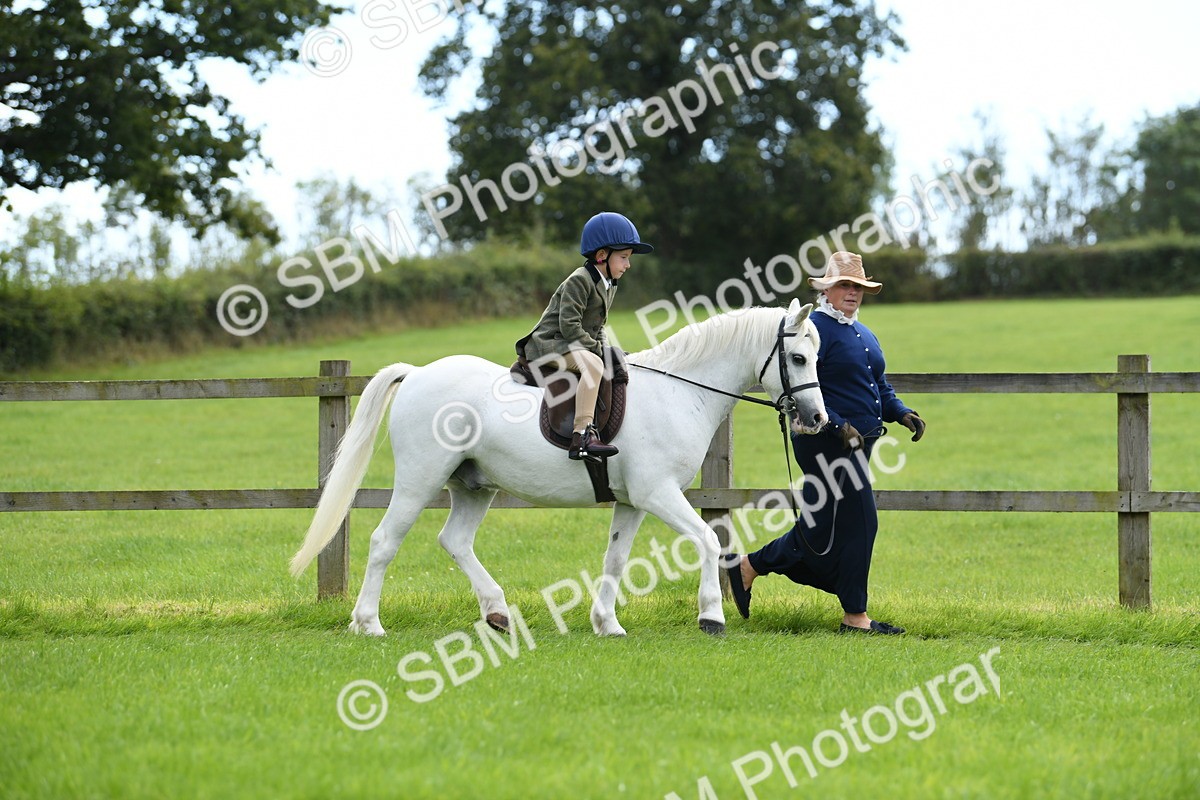 SBM_42464 - S20 - Lead Rein Mountain & Moorland Pony