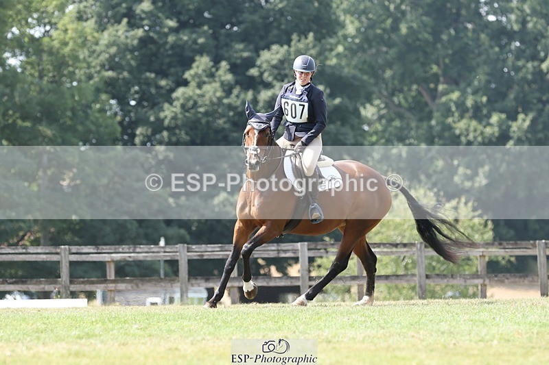 250823A-140328-31448 - Arena D