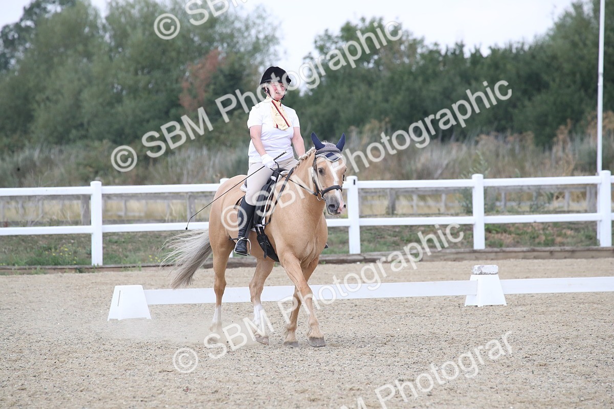 SBM_008186 - Novice 5 - 10.56-13.12