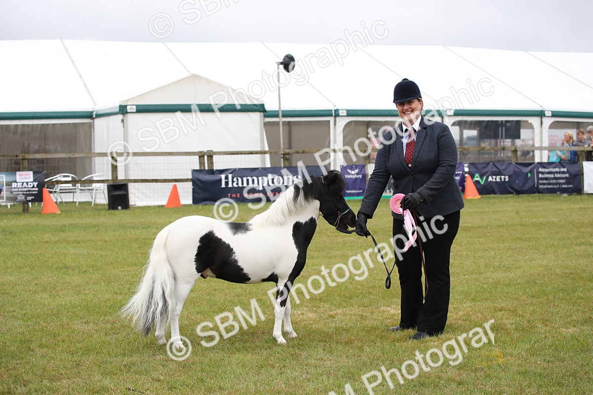 SBM_03840 - Class 23-25 - British Miniature Horse of the Year