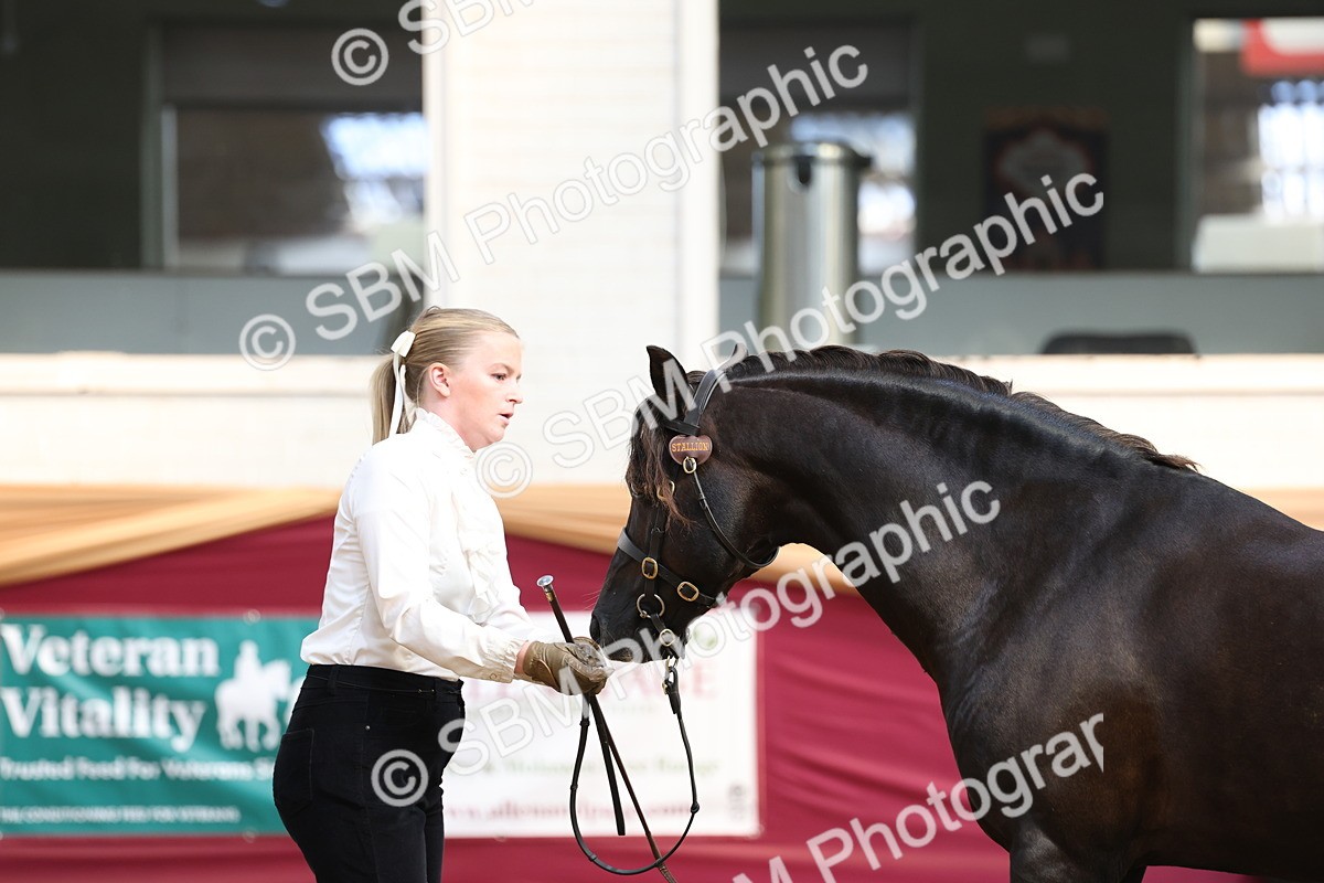 SBM_23328 - Class 903 - Supreme Final - IH Pre Vet