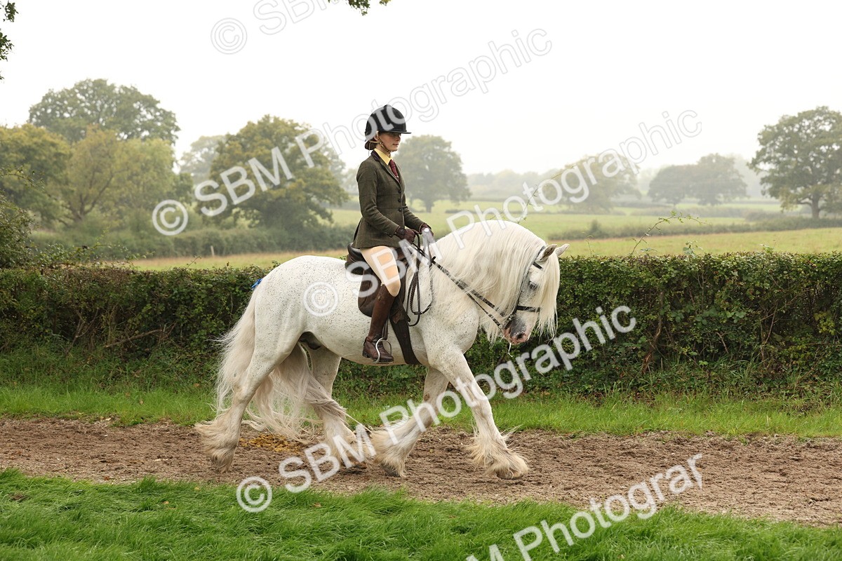 SBM_72670 - S70 - Traditional Cob Ridden