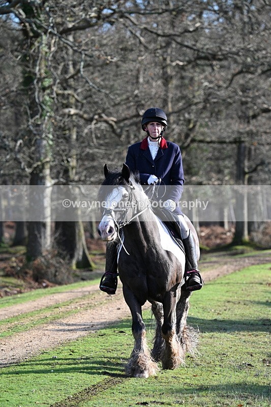 WJ7_7813 - Line 3 (no line 4 or 5)