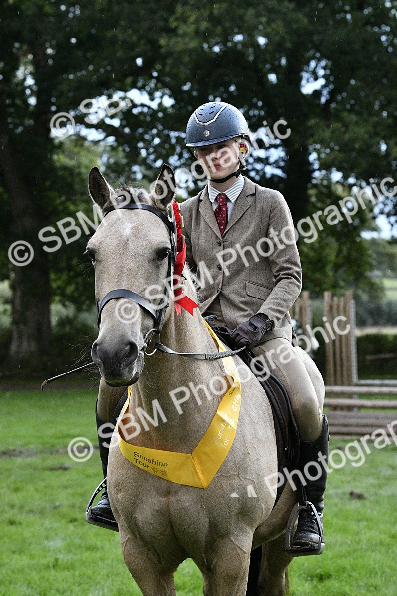 SBM_53353 - S14 - Riding Club Horse