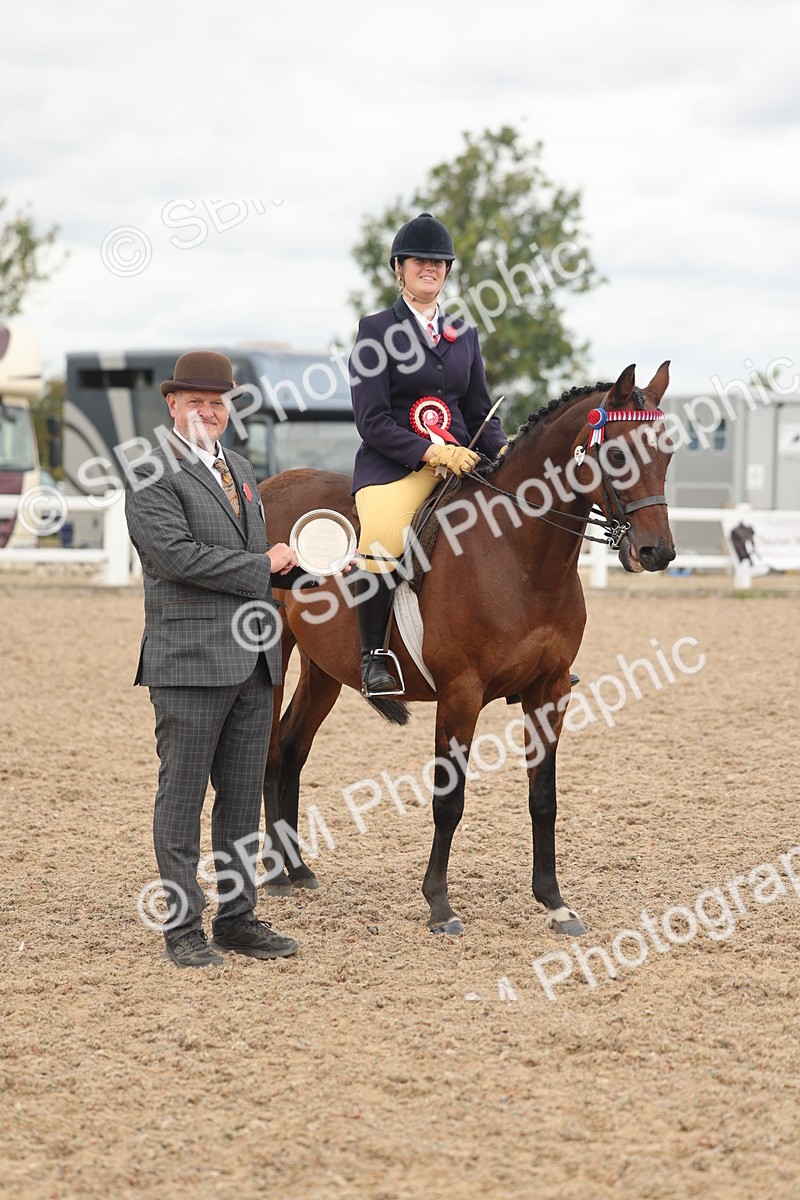 SBM_16065 - Class 311 - Ridden Show pony-Show hunter Pony