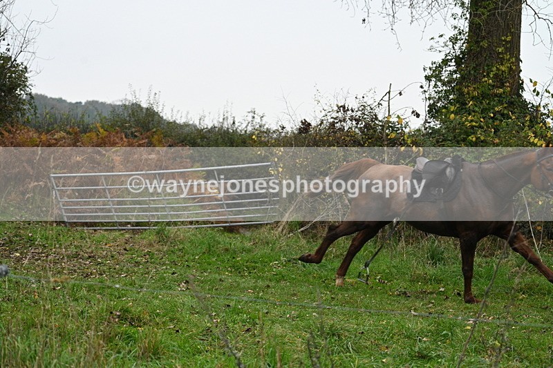 WJ7_8007 - Cam 1