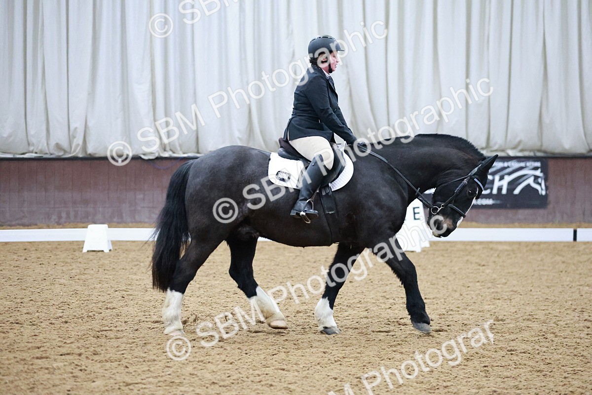 SBM_000176 - Class 17-6-18 - TQ U21 Novice 3Novice 3-MQ Open Prelim 1