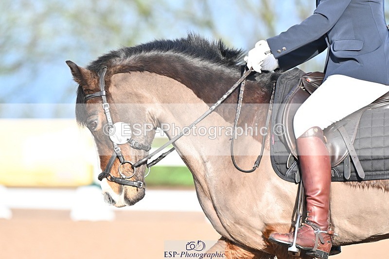 240218A-090841-04664 - 253-Carly.Steadman-Merrywood.Rockafella