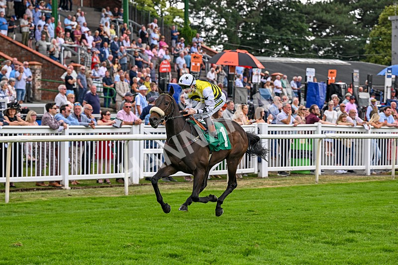 010726-Race 2-Arapaho Gold-7774 - Race 2 13.38pm British EBF Restricted Novice Stakes (Div II)