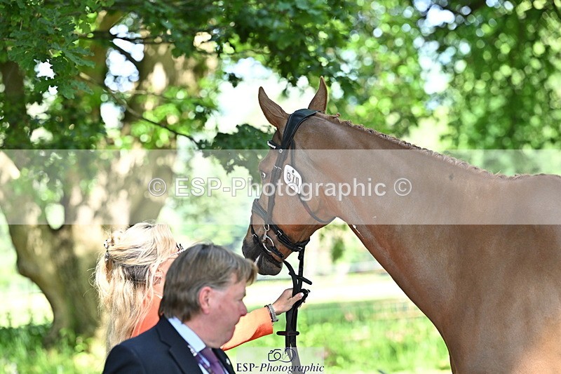 250521A-153727-00642 - B-370-Emma.Hyslop-Webb-KBS.TIME.TRAVEL