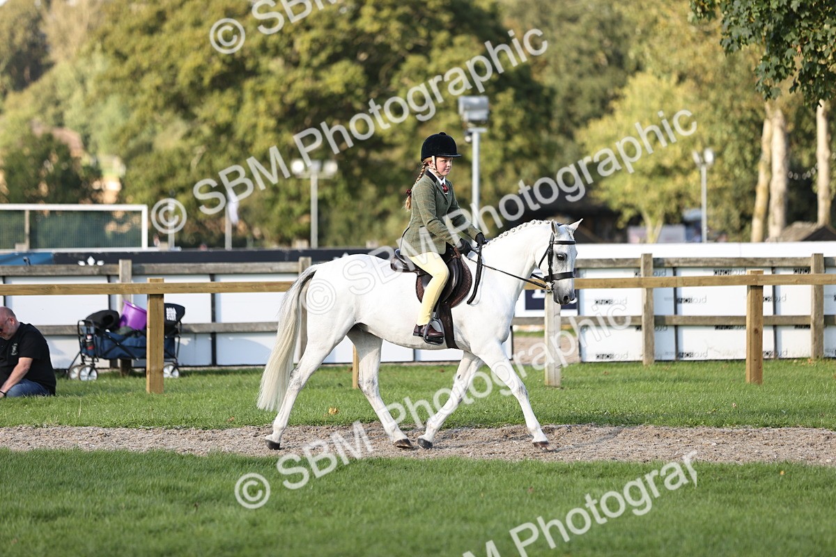 SBM_29454 - S7 - Novice & Newcomers Ridden Pony
