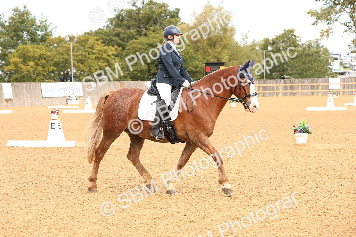 SBM_40620 - D6 - Small Tour Championship Intro 4
