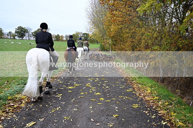 WJ6_9265 - Ride