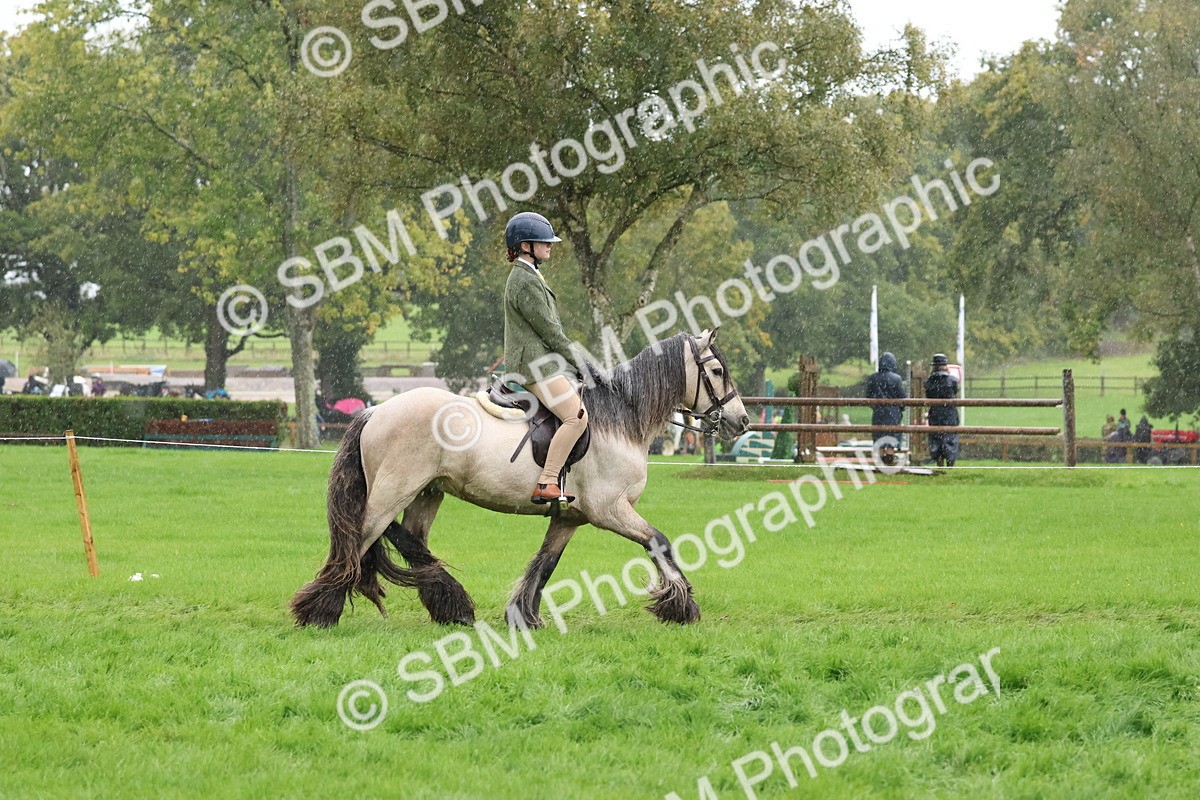 SBM_36803 - S11 - Best Ridden Horse & Pony