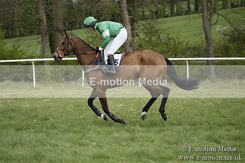 PtP 170417 137 - Old Berks Point-to-Point Lockinge 17/04/17