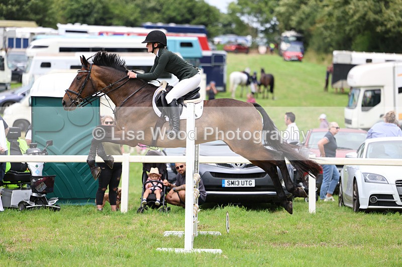 3E7A7288 - Class 5: Senior British Novice/90cm open