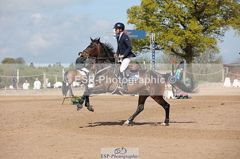 250427-105038-15645 - Cls 36 Young Horse 7yr old