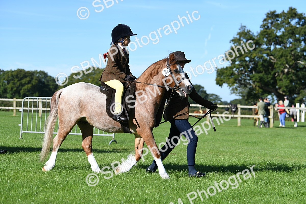 SBM_35517 - S17 - Condition & Turnout - Lead Rein