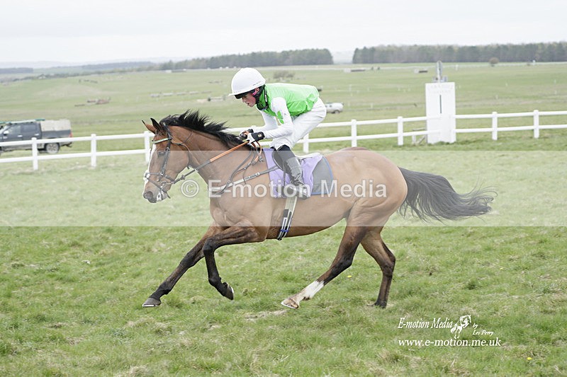 PtP 260323 1138 - New Forest Hounds Point-to-Point Larkhill 26/03/23