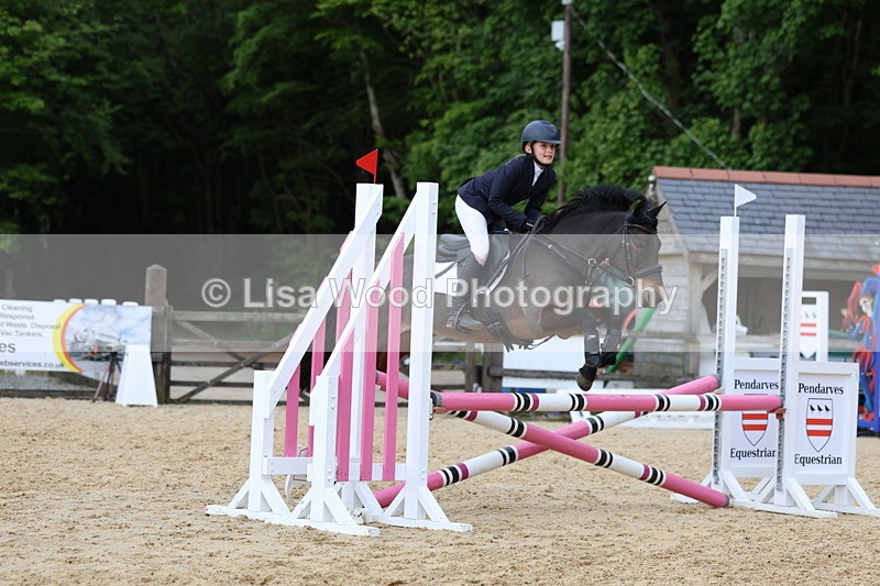 3E7A8431 - Class 12: Pony British Novice/80cm open