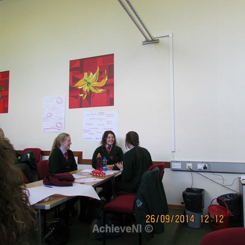  - Peer Mentoring 2014