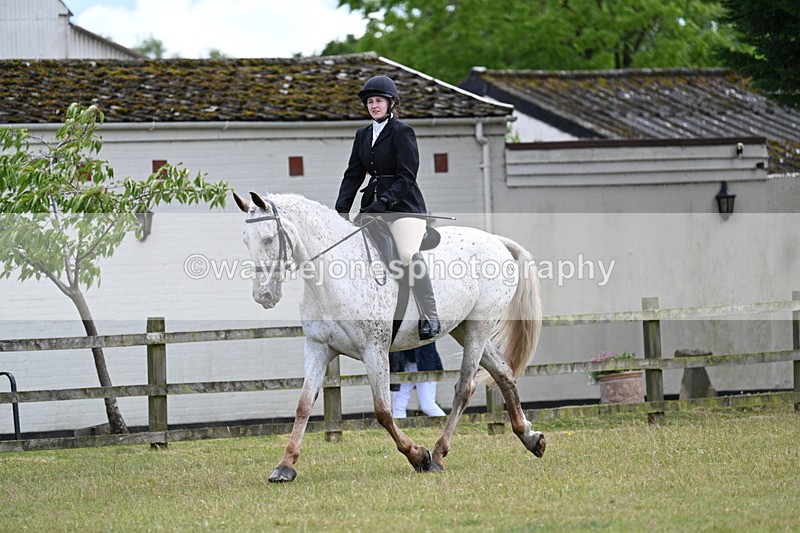 WJ7_8349 - Class 7  Riding Club Show Horse