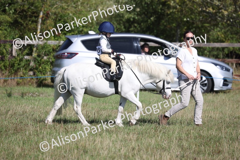 20260906-2143 - Class 16 - Family Pony