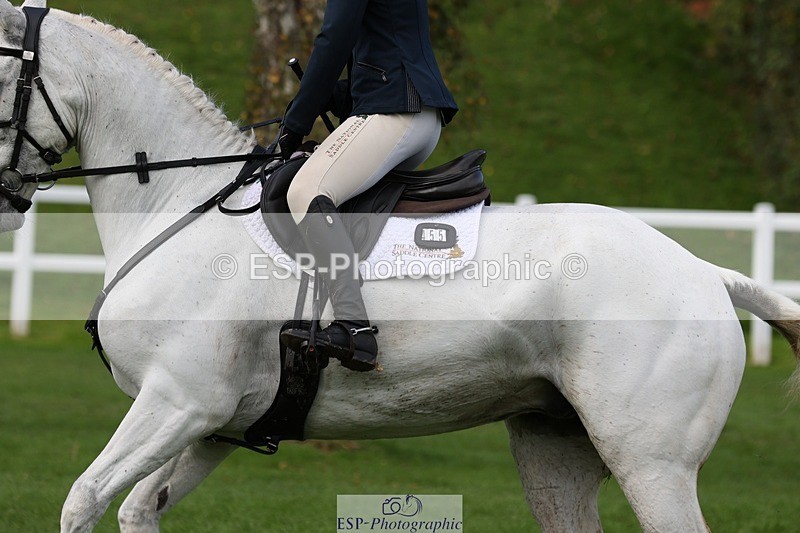 231022-134744-27889 - 455-GURTEEN.BARNEY-Georgie.Driver-TrotUp+SJ