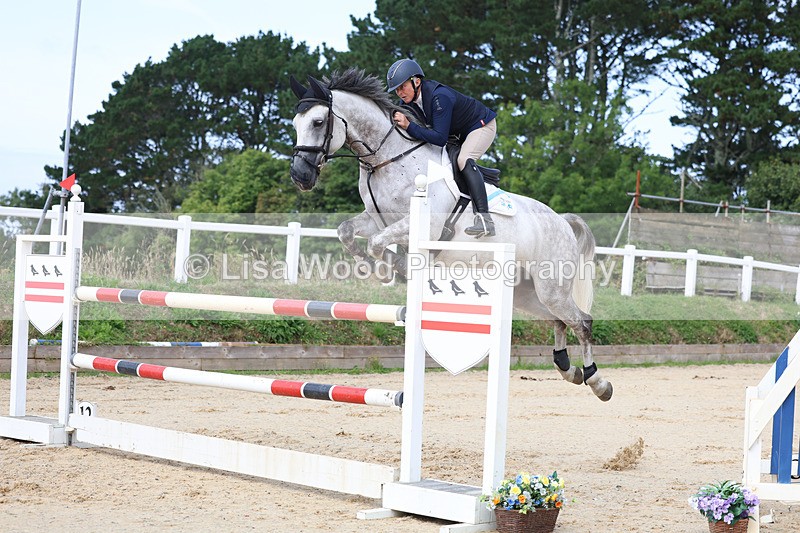 3E7A1893 - Class 9: Senior Foxhunter/1.20 open