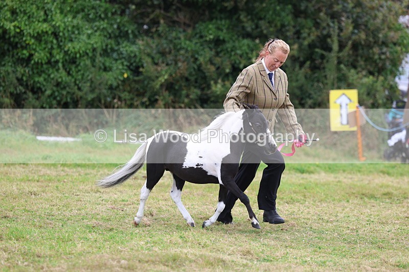 3E7A4301 - Class 15: Two Year Olds