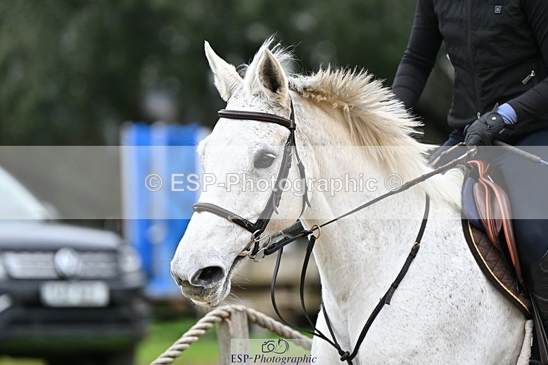 250201A-142838-00955 - Cls 04 Local Horse 120cm
