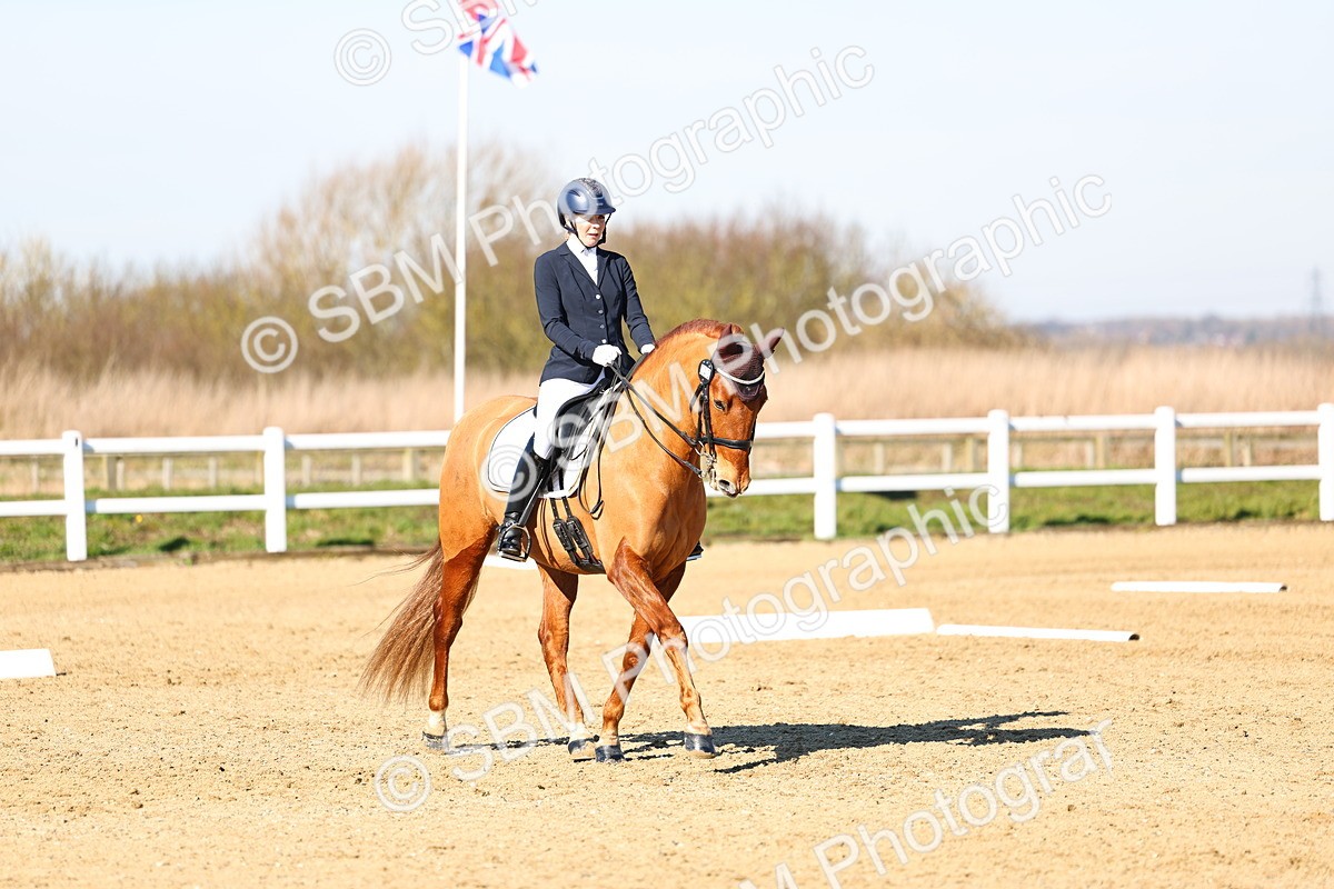 026A8486 - Class 2-6-5-4 - Paso Doble-Sevilla-Golega-Novato