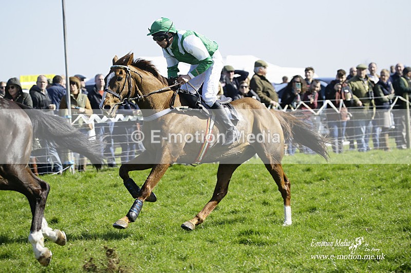 PtP 190322 526 - Wilton Hunt PtP Milborne St Andrew 19/03/22