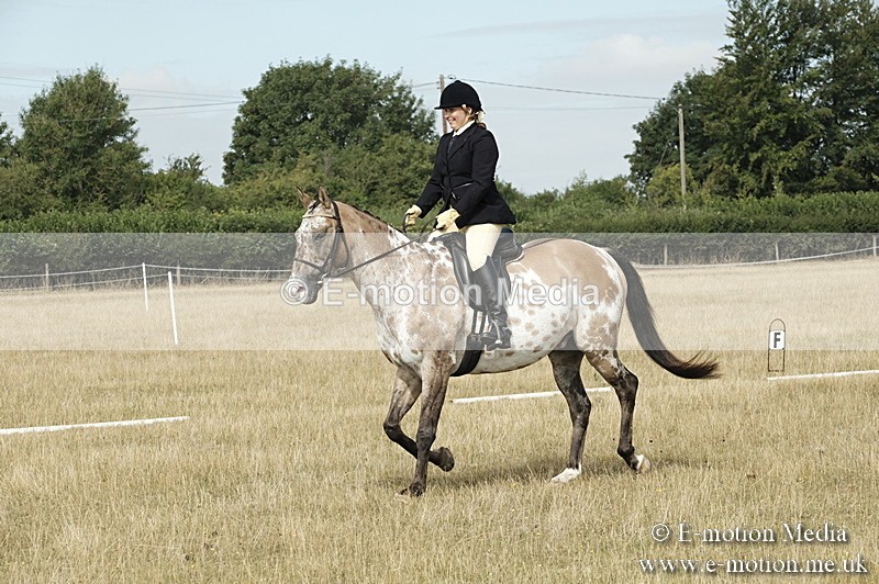 _PJP5698 - Dressage Classes BVRC Show 2018