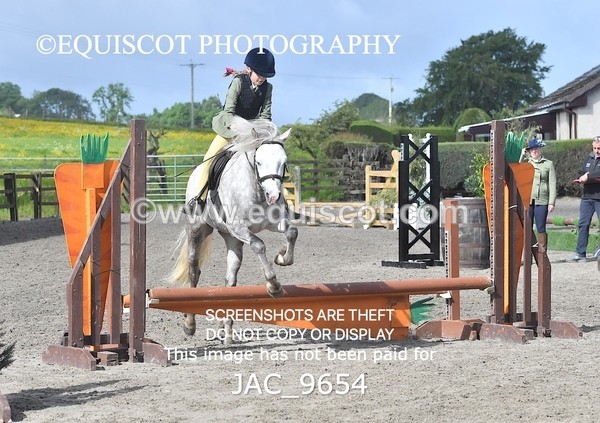 JAC_9654 - CLASS 1 Nursery Novice Working Hunter (0.50m)