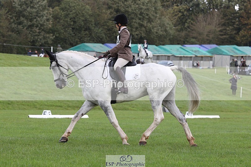 231019-120428-03512 - 618-LORD.PICTON.FREESTYLE-Penny.Corbett-DR