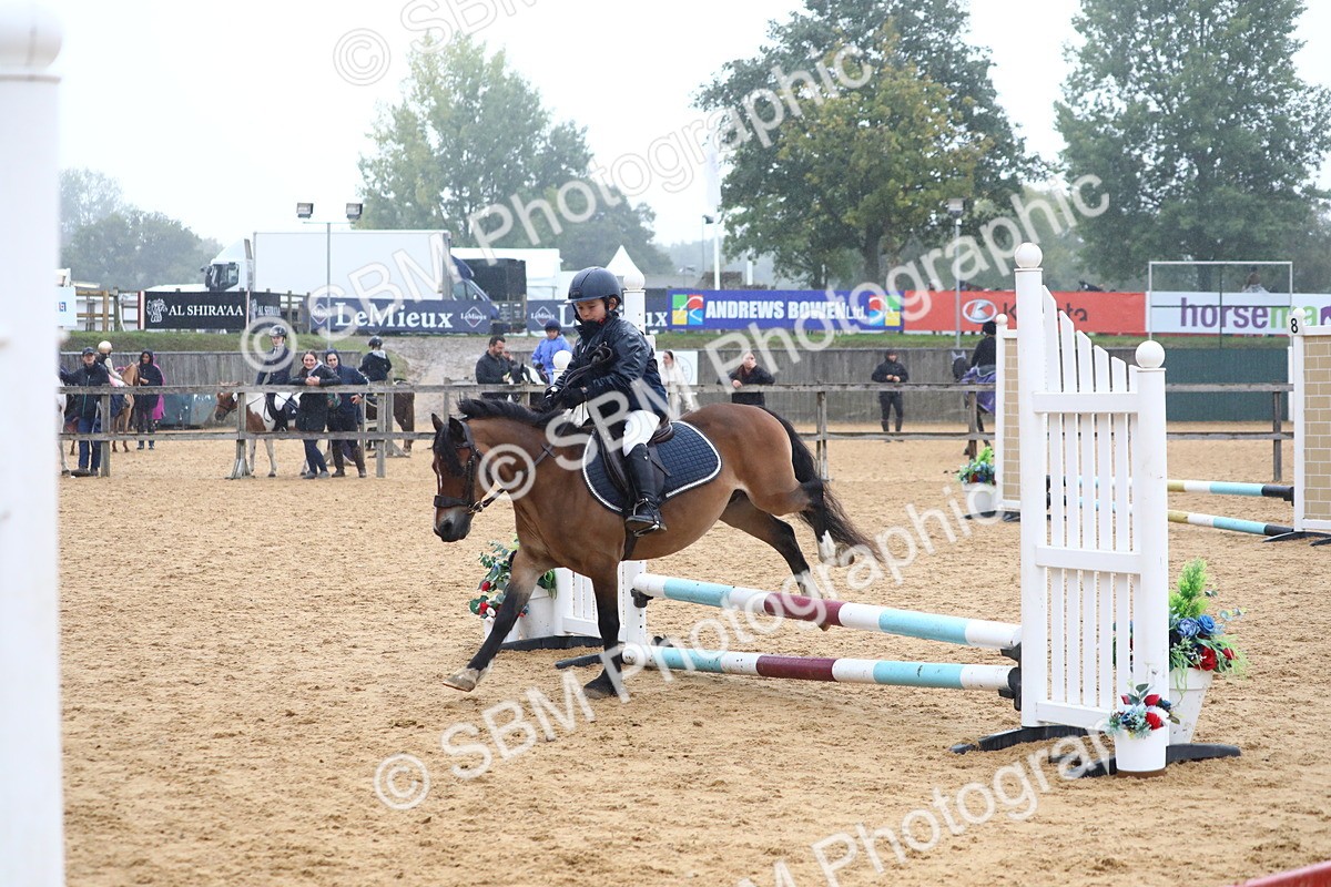 SBM_71750 - J4 - Mini Tour Junior Pony 45cm Championship