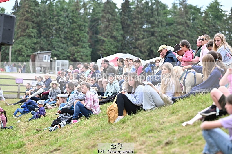 250524A-160932-13213 - Demo Arena Crowds